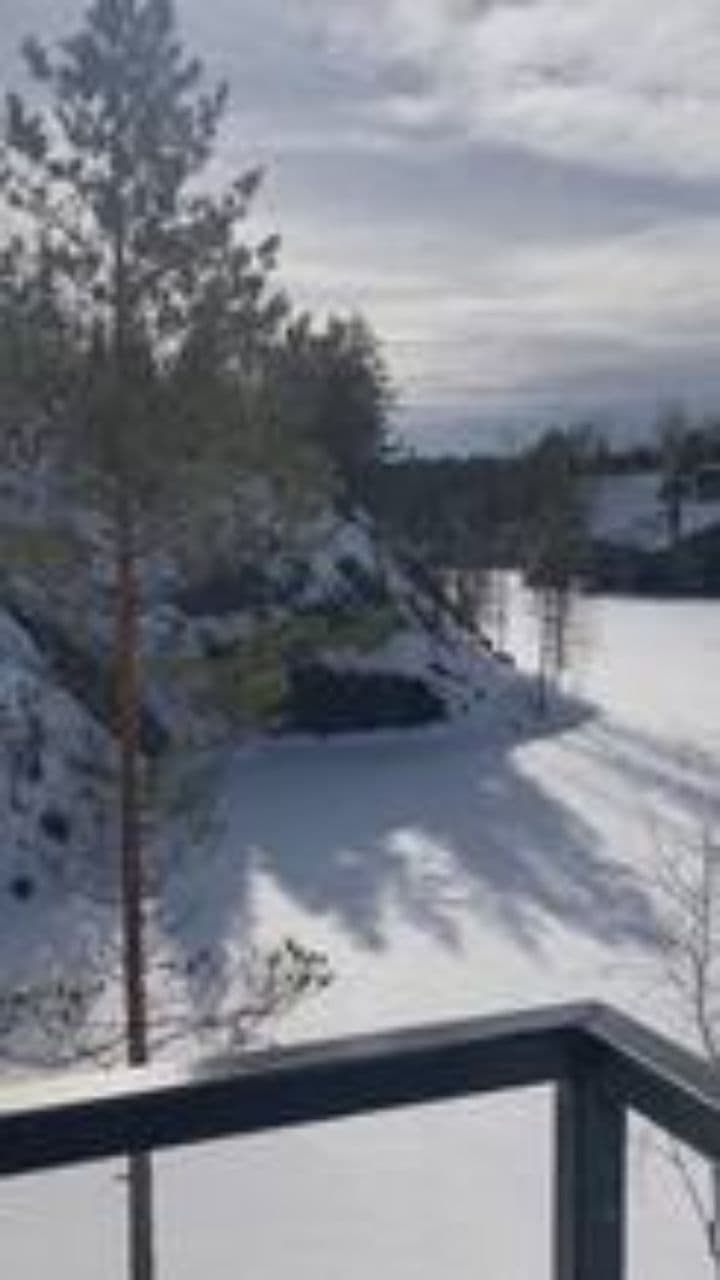 Дружба Рагнара и Дракона