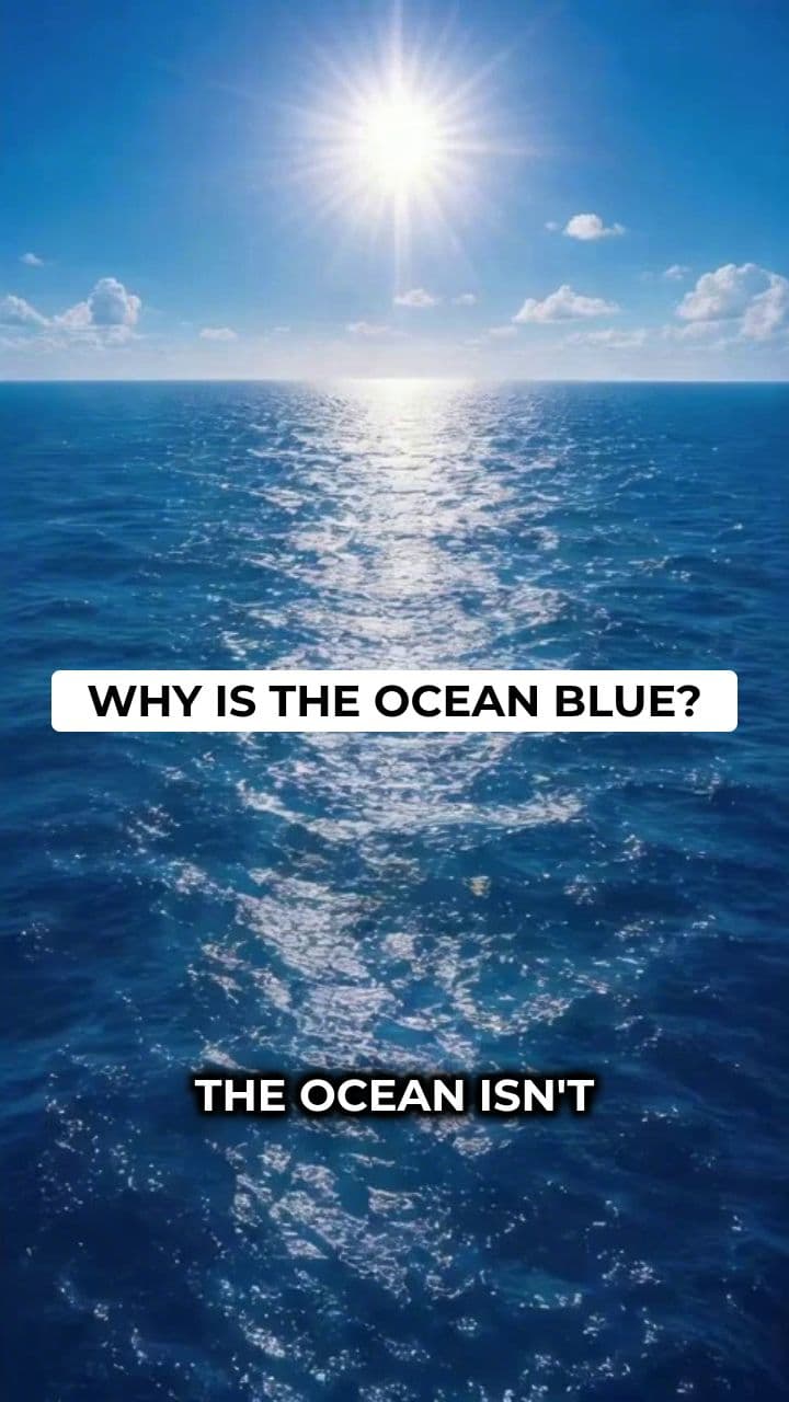 Why The Ocean Looks Blue