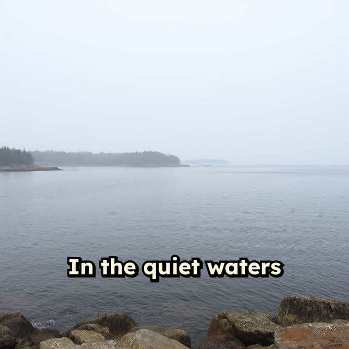 REELHUT: The Fishermen's New Threat