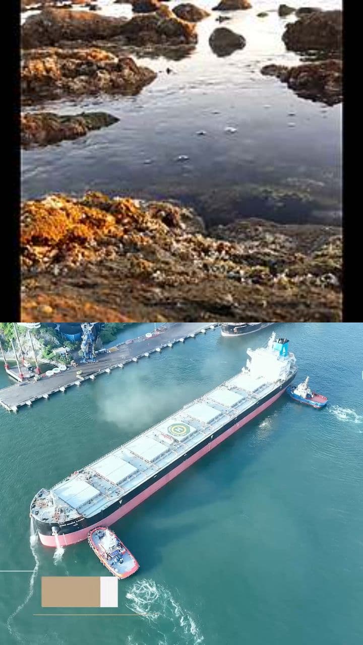 Logros de Multiport, Colfletar y CTR Group