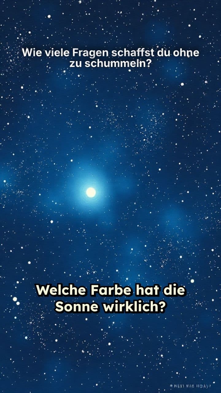 Wie viele Fragen schaffst du ohne zu schummeln?