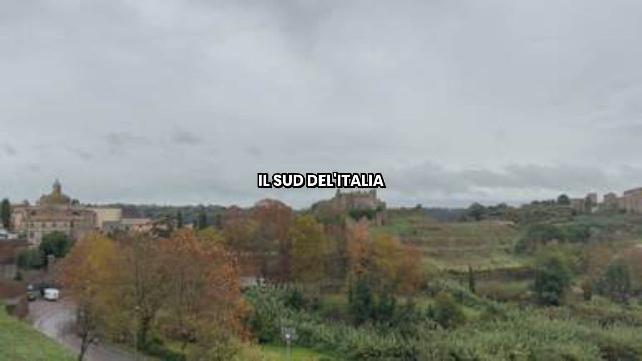 Il Sud sostiene il Nord d'Italia