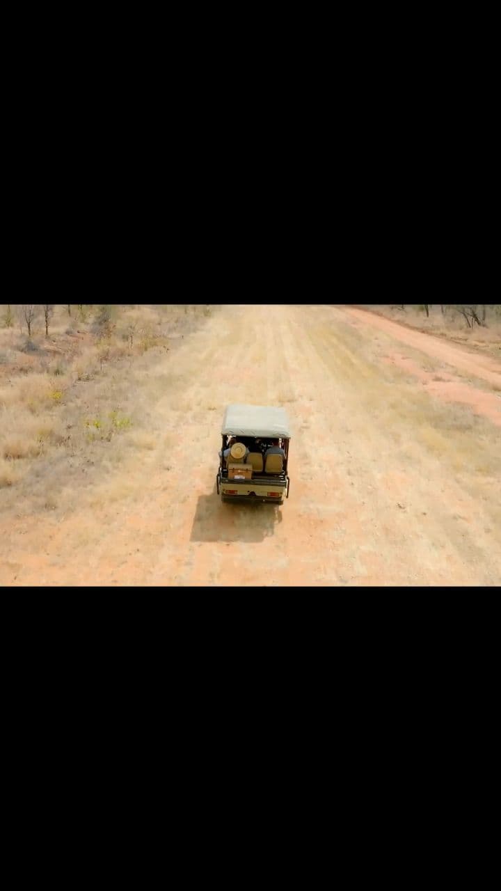 Rescuing Rhinos from a Helicopter