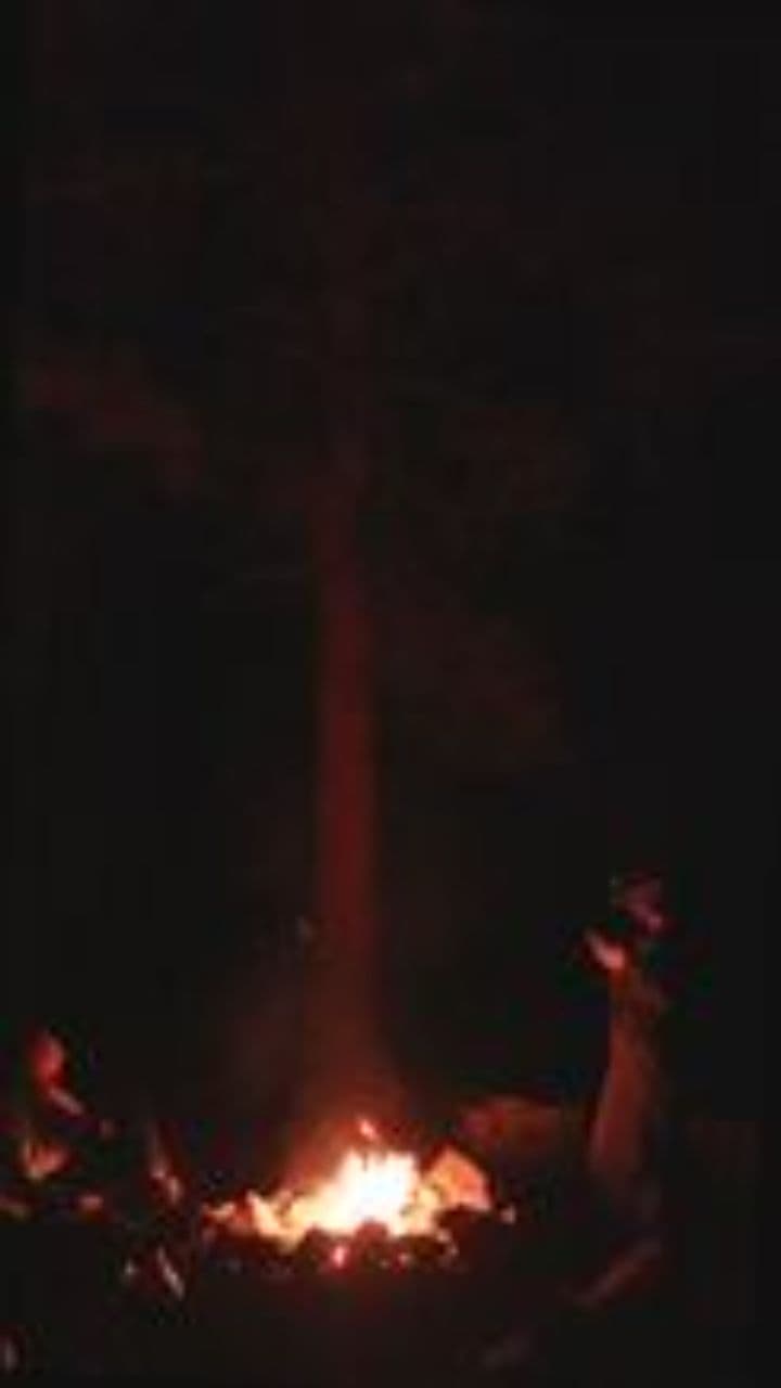 Night Run Gone Wrong