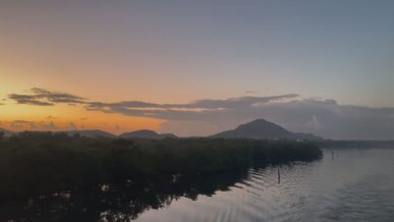 Horda! Az erő és a harc éneke