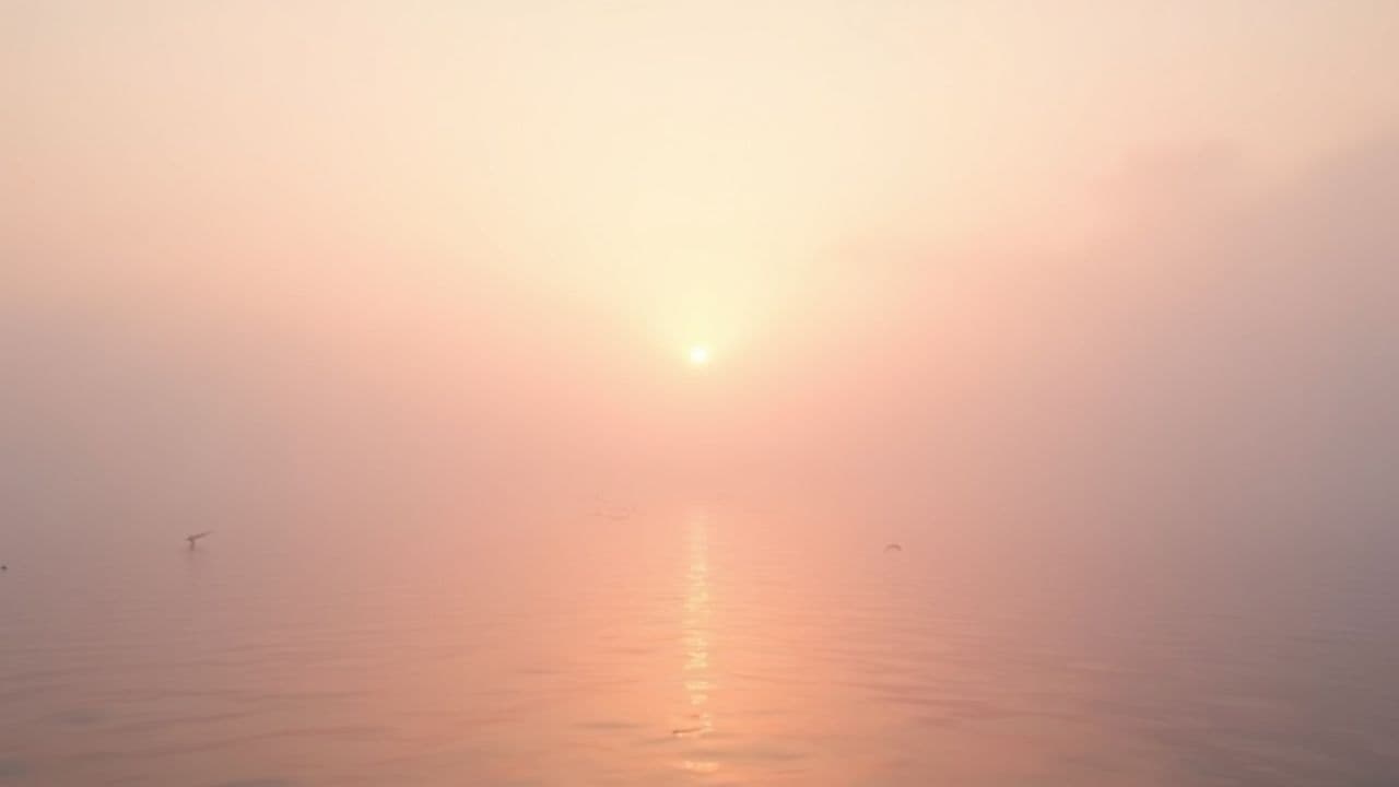 Eres mi paz y verdad