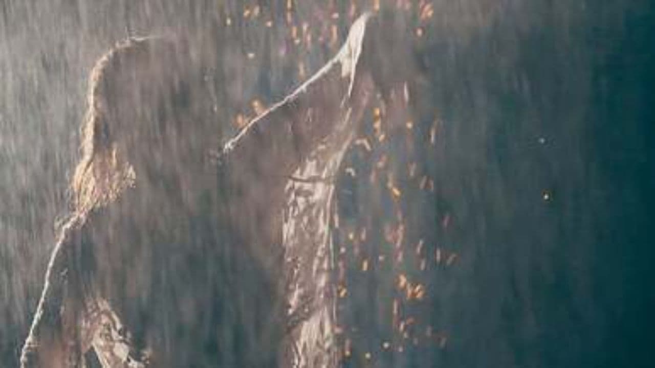 Umbrella Hearts in the Rain