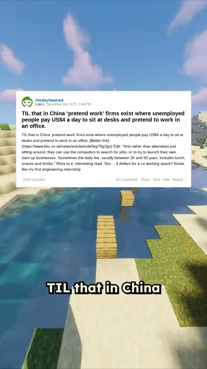 Pretend Work Firms in China