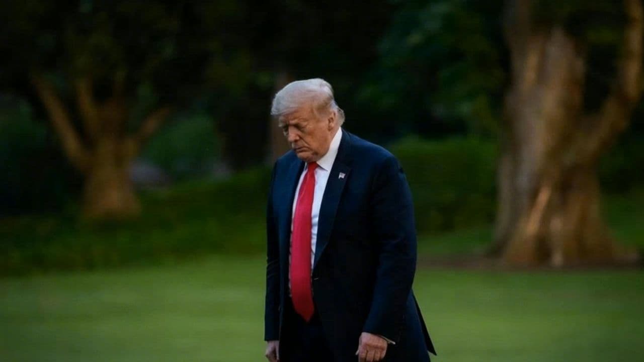 Image transform video