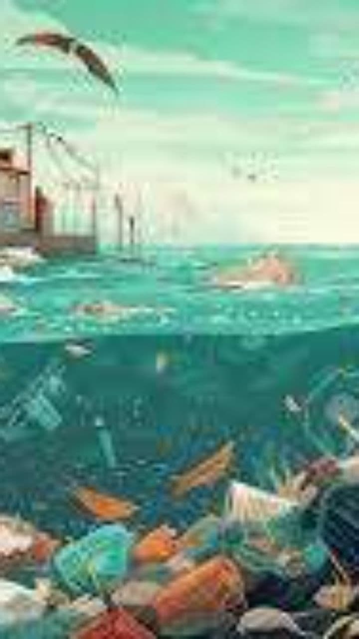 Marine Pollution and Its Consequences