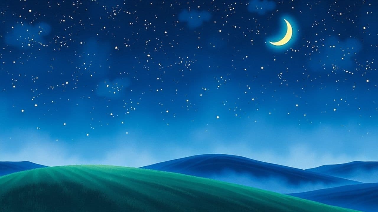 사랑의 별빛 밤