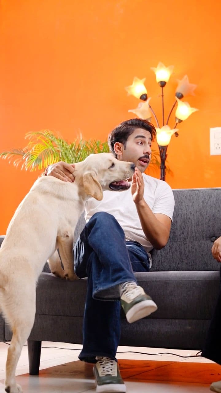 ब्रूनो के लिए सुरक्षित च्यू टॉय