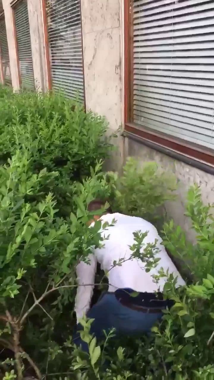 Raw Distress Soundscape