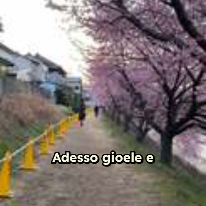 Gioele e Momo su Cartoonito