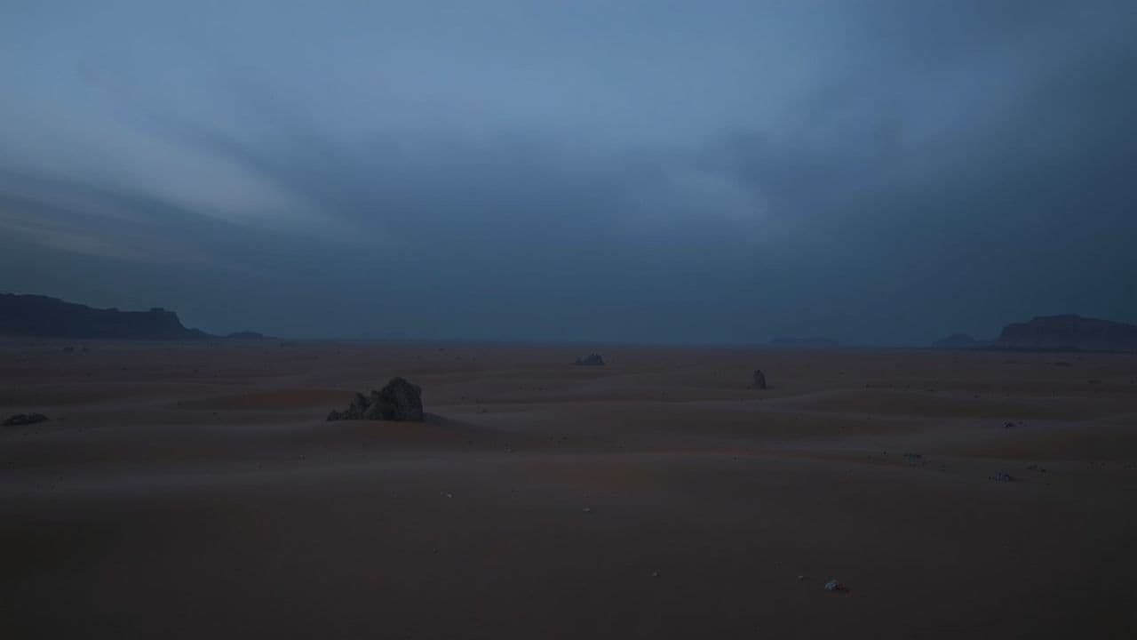 Kum ve Taşın Aşkı