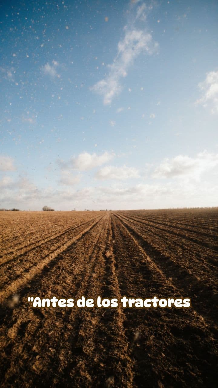 El arte de arar la tierra