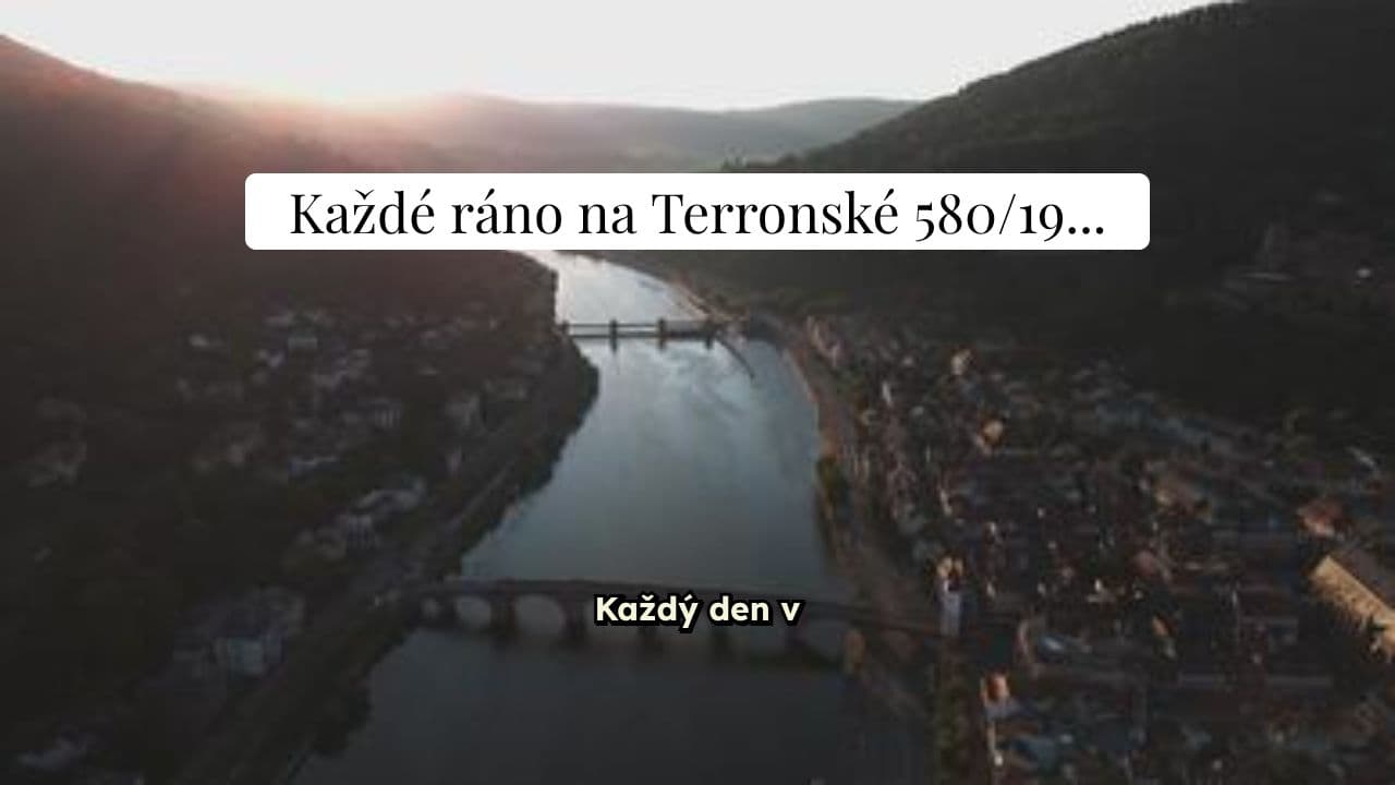 Den v Lahůdkářství Stiborek