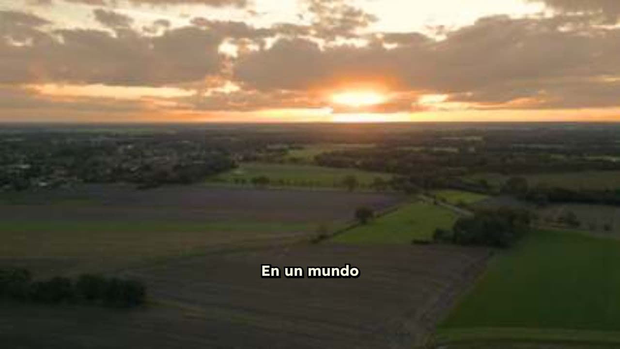 La Élite del Bloque: Desafío a la Entropía