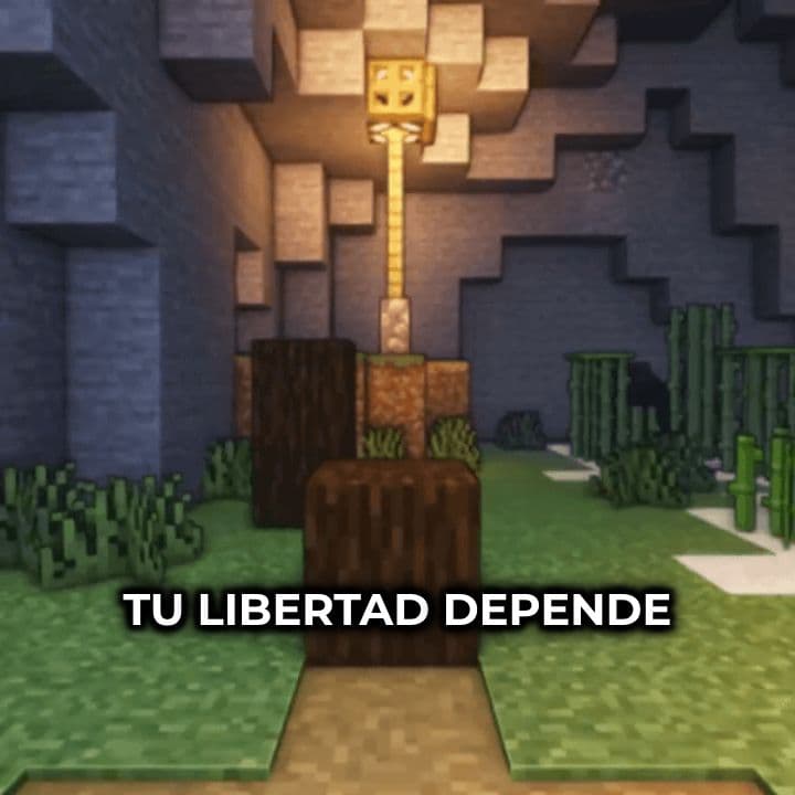 La delgada línea entre delitos y castigos