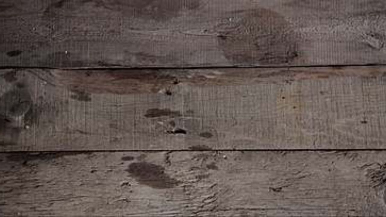 Keberuntungan Zodiak Oktober 2025