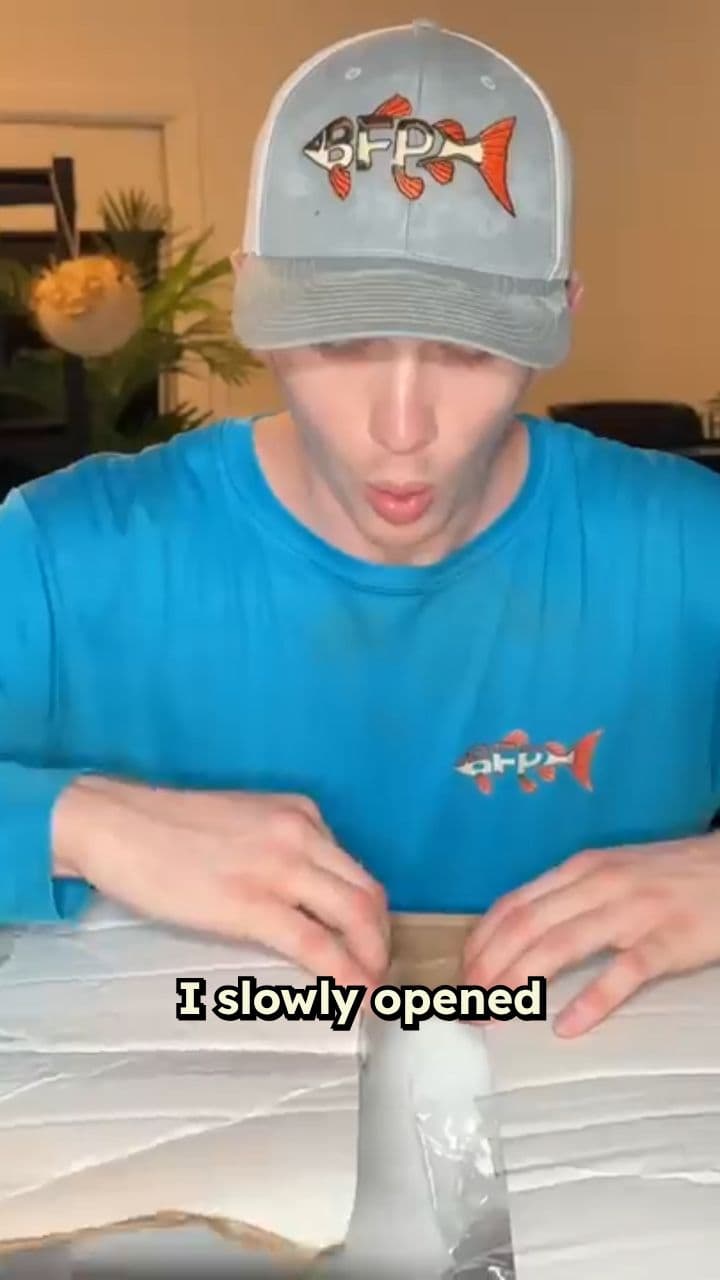 Finding Rare Dragon Eels