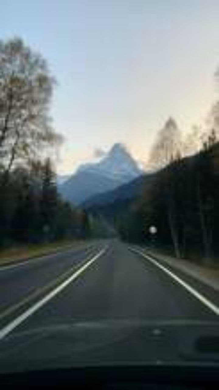 Chaotic Journey to Rome