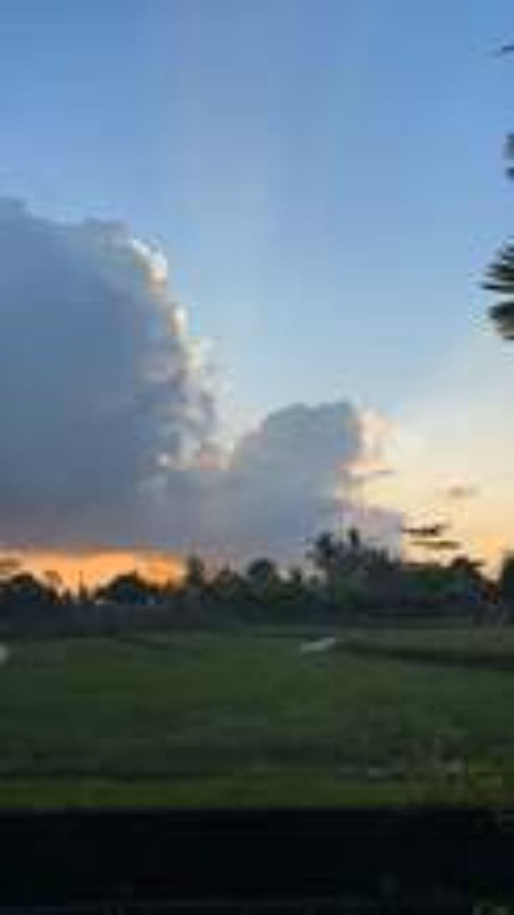 Rizière camarguaise au coucher de soleil