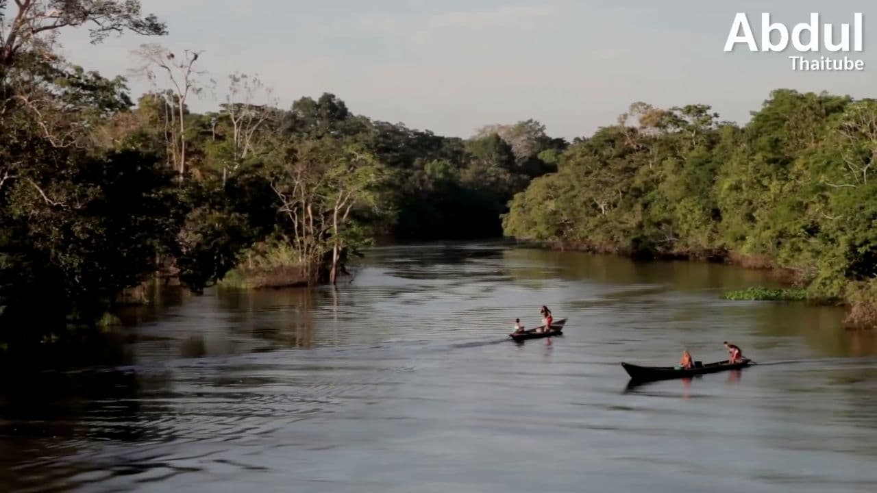 6 ความมหัศจรรย์แห่งป่าแอมะซอน