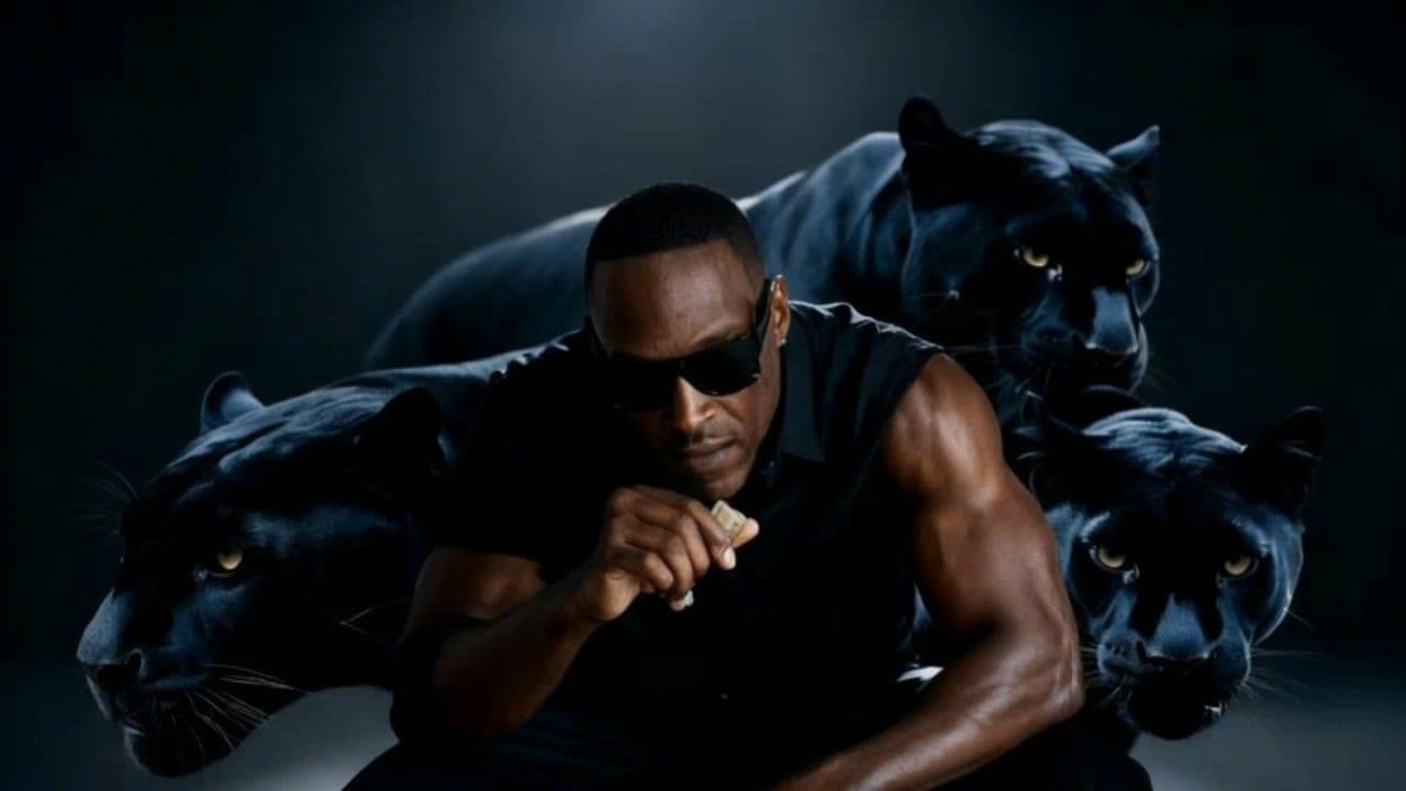 Image transform video