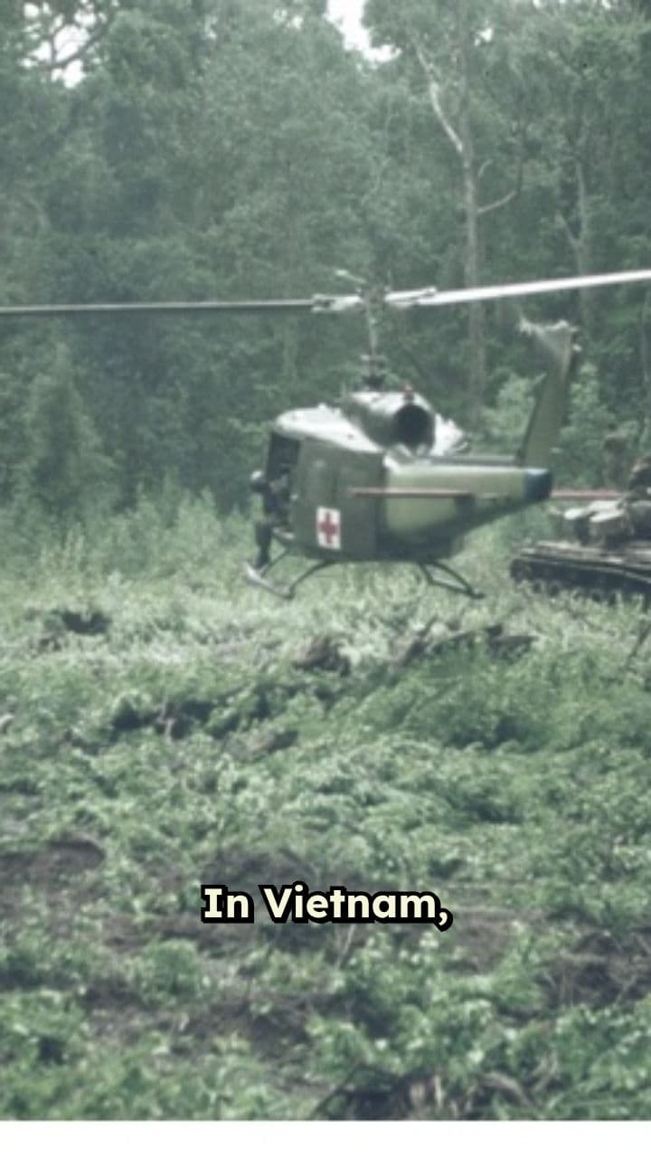 Dust Off: Heroes in Vietnam's Shadows