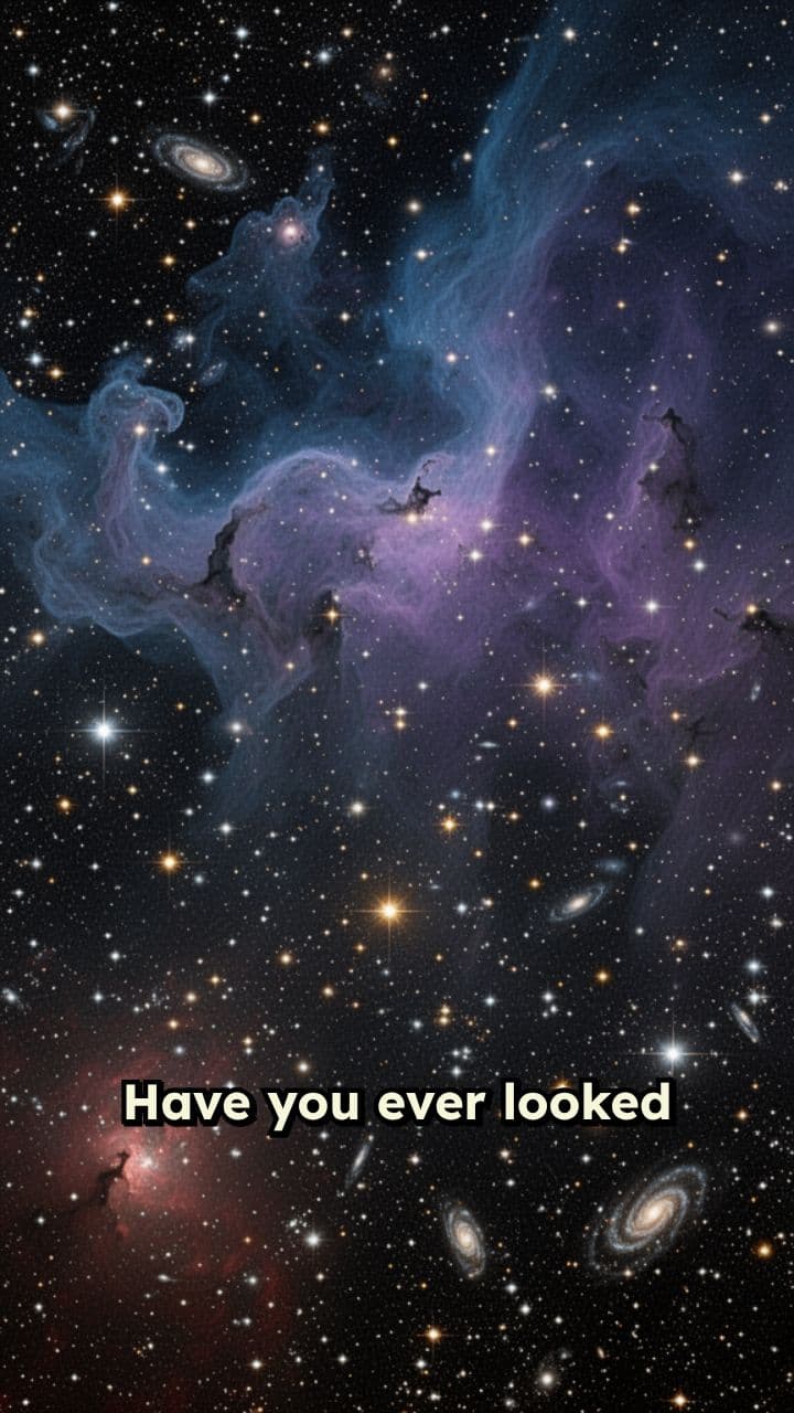 Looking Into the Past