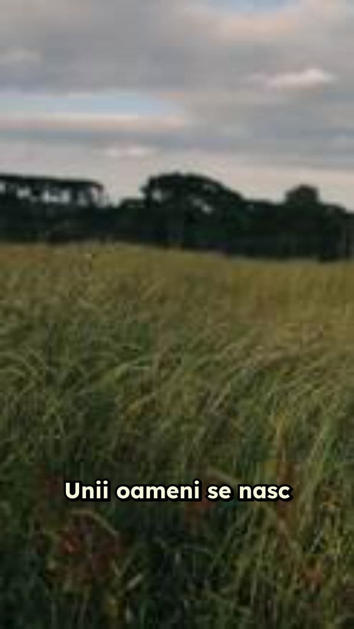 Superputerea haosului meu personal