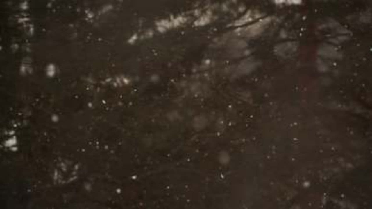 Christmas Without You