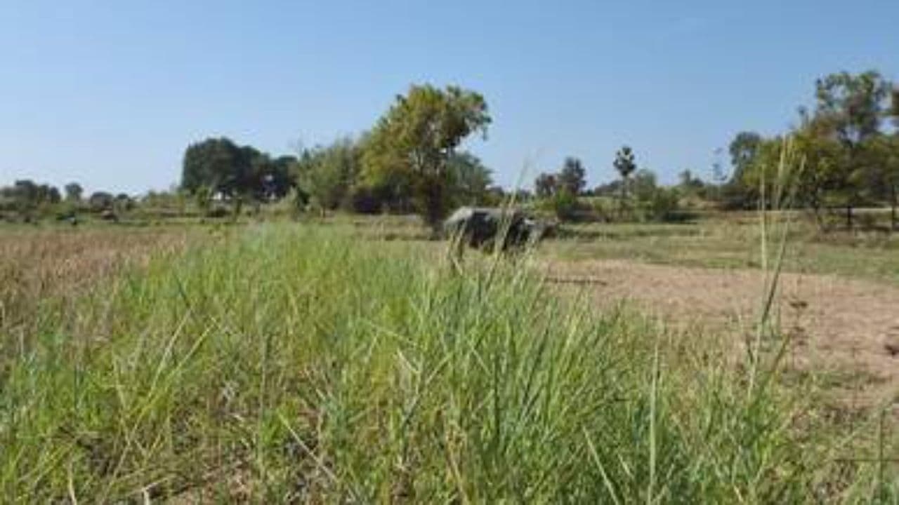 Русские закаты и летние воспоминания