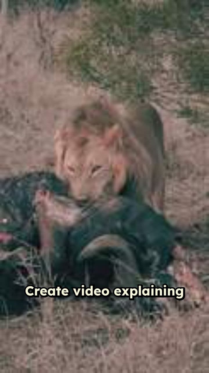 Choose Boldness Over Evasion