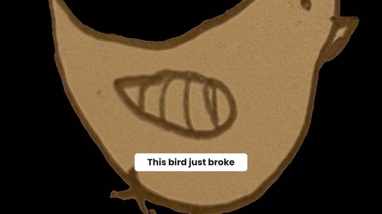 Mid-Air Hatch: A Bird's Dramatic Flight