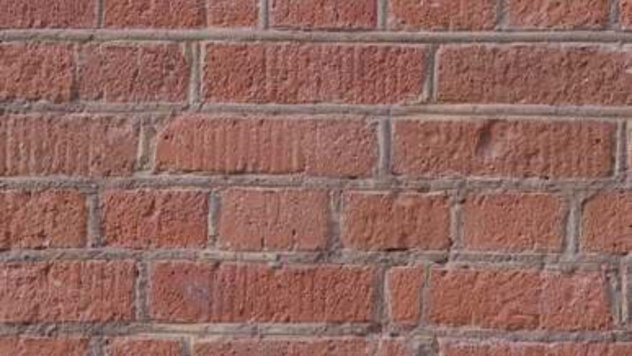 Ombre della realtà e dolore