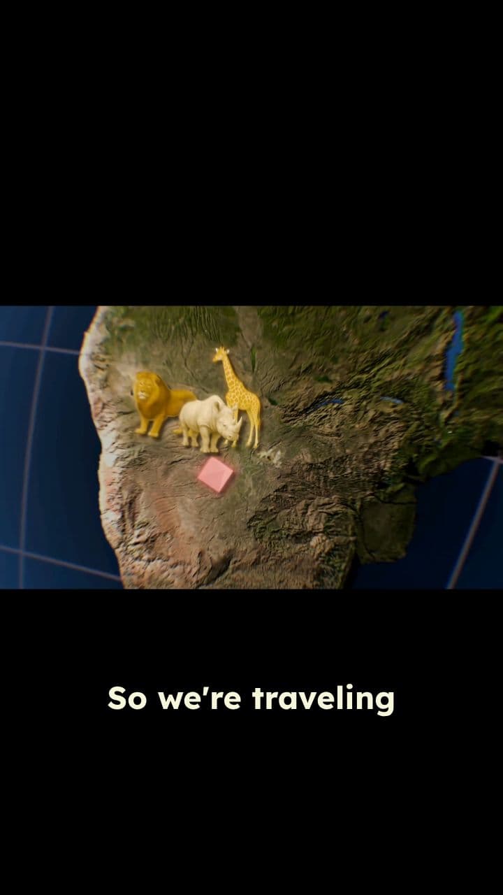 Rescuing Lions From a War-Torn Country