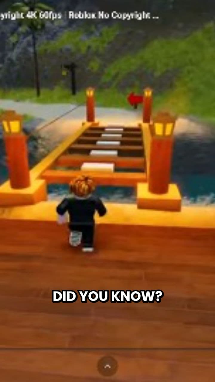 Top 5 Rarest Blox Fruits Revealed!