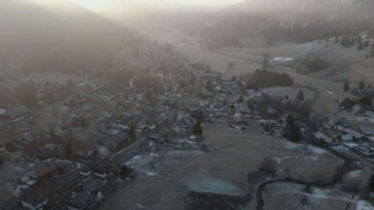 Предчувствие новогодней ночи