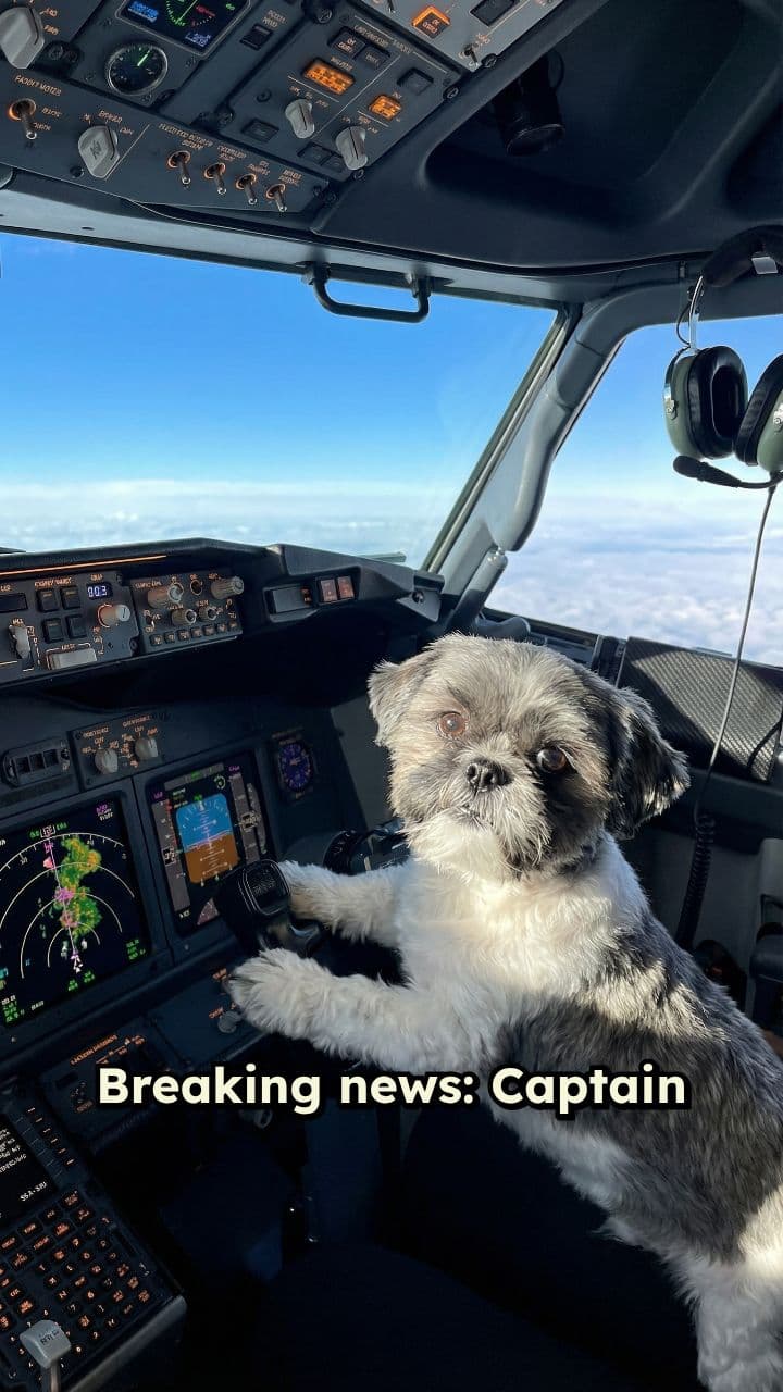 Captain Fluffy Takes Control
