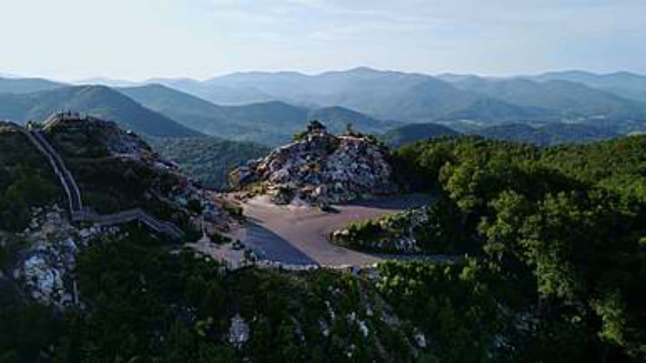 Любовь к белой березе