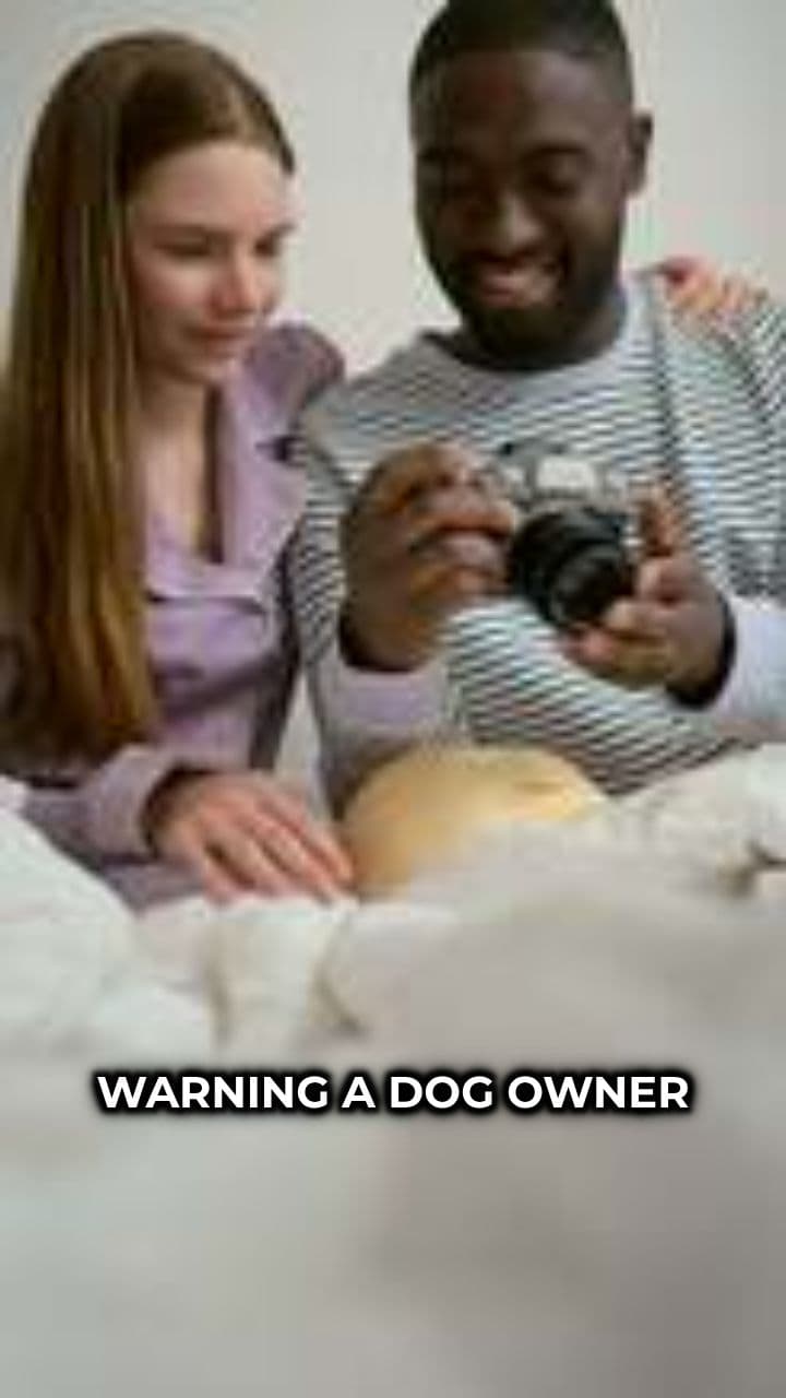 Golden Retriever Saved Me From Cat