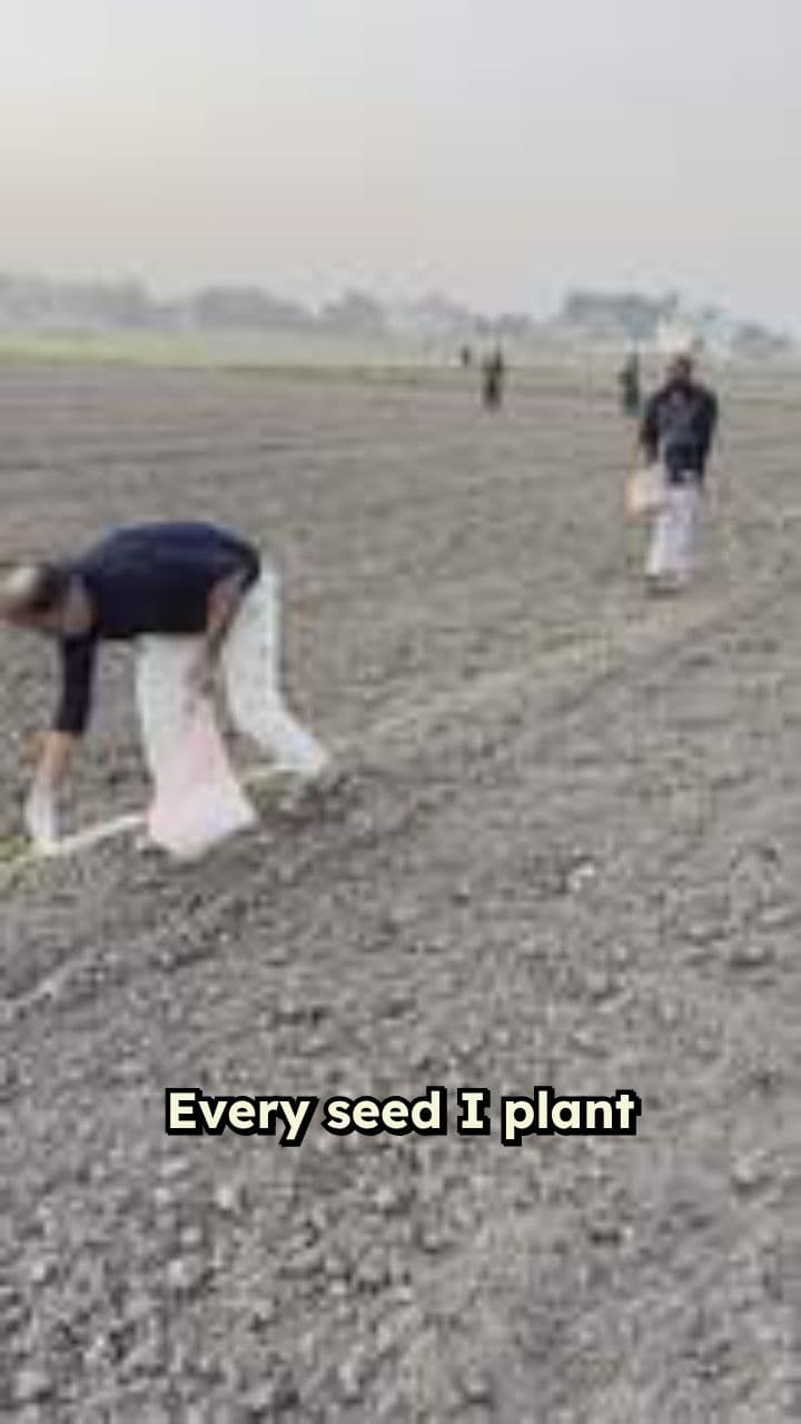 Nurturing Dreams to Life