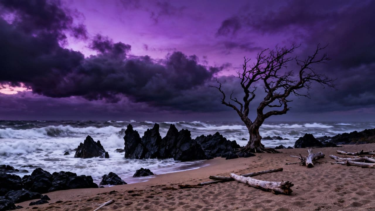 Я идиот, заносчивый енот