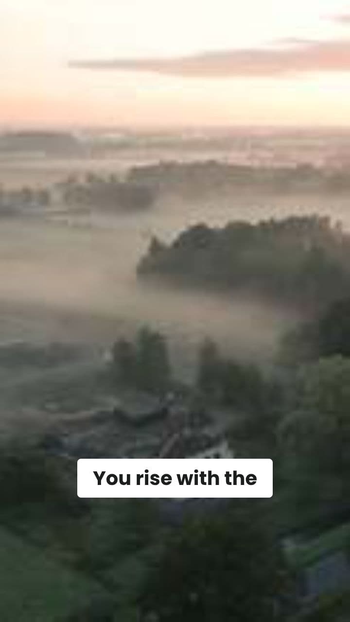 Bee Kind: Care for Riders