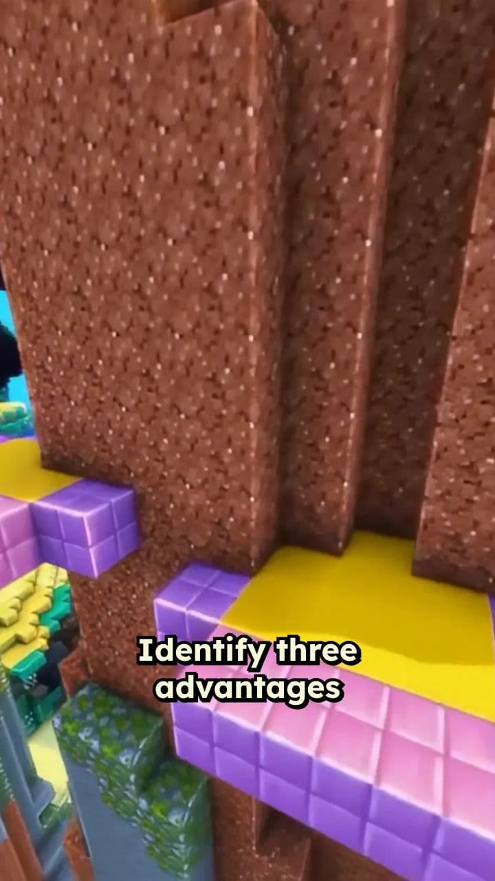 Object-Oriented Programming Concepts