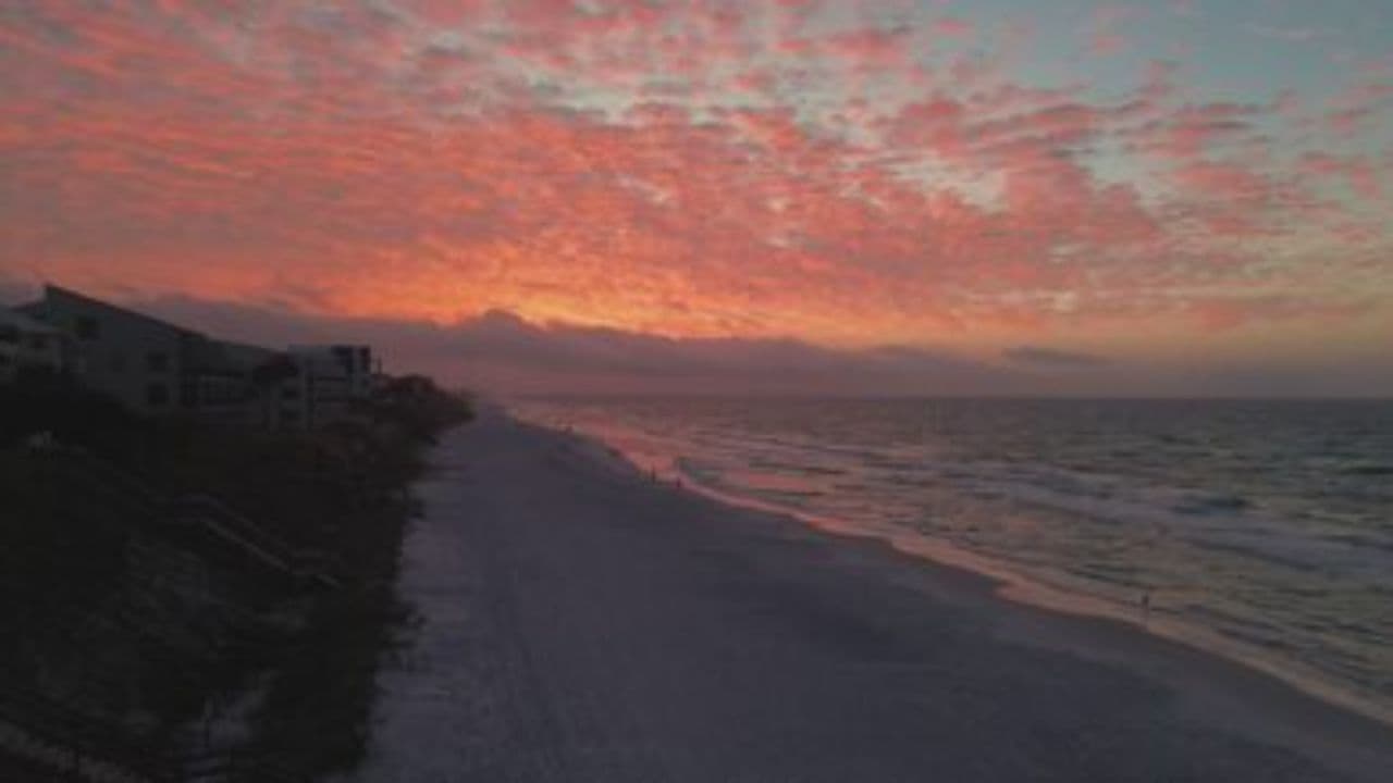 Mother of Liberation