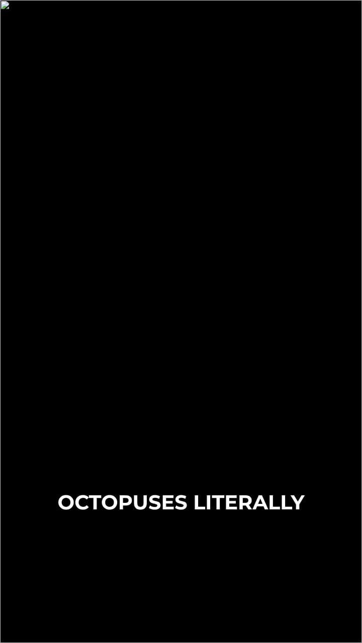 Octopuses: Brains in Their Arms