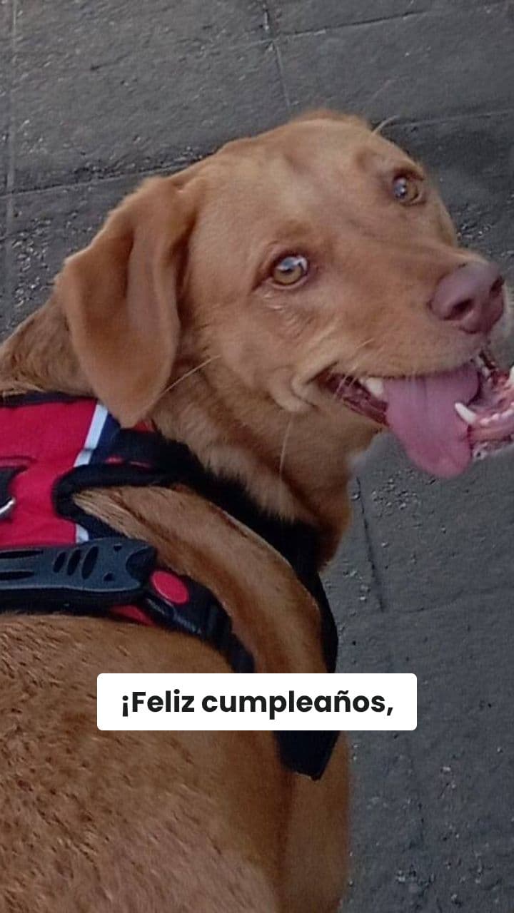 ¡Feliz Cumpleaños, Maricela!